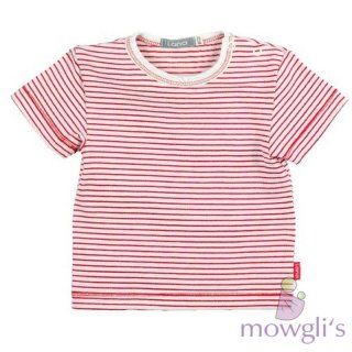T-Shirt halbarm ringel Max tomate