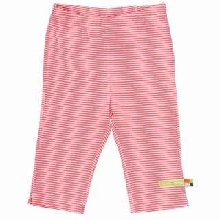 Hose Ringel coral