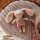 ava&yves Babyrassel Hase mit Anzug - puderrosa - extra leise Rassel