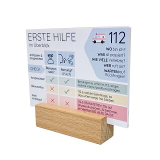 LittlePlan 10 Erste-Hilfe-Themenkarten mit Holzständer