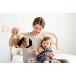 LÄSSIG Spieluhr - Musical Little Mateys Hund