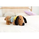 LÄSSIG Spieluhr - Musical Little Mateys Hund