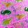 Slinga Illustration Glitzer Sticker Set Dino 6 Stück